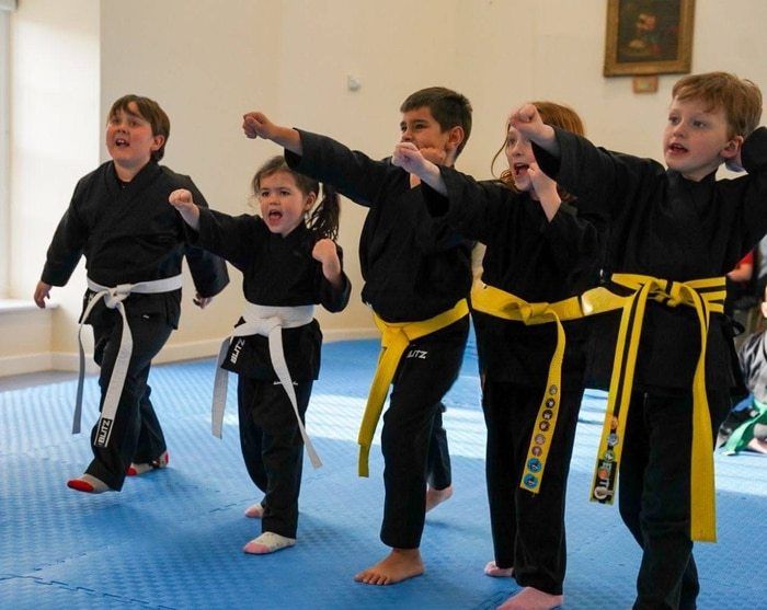 <center>OUR LITTLE DRAGON'S TREMADOG KARATE PROGRAMME IS THE FIRST STEP TO YOUR CHILD'S SUCCESS!!<center>